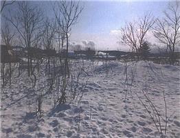 2019(O)1004