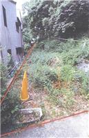 2020(M)30013