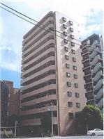 2020(M)604