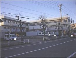 2019(M)492
