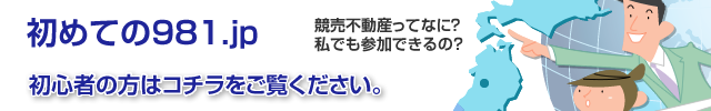 初めての９８１。