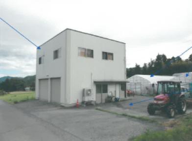 2023(M)2006