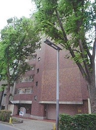 2023(M)217
