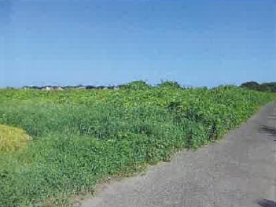 R06ヌ146