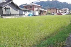 R06ケ10005