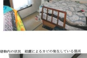 R06ケ356