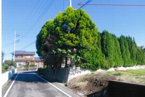 R06ケ124