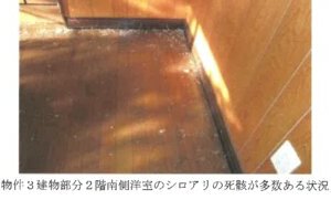 R06ケ61