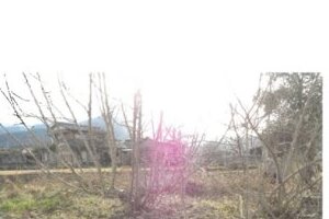 R06ケ60