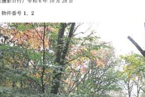 R06ケ117