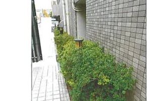 R06ケ120