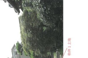 R06ケ62
