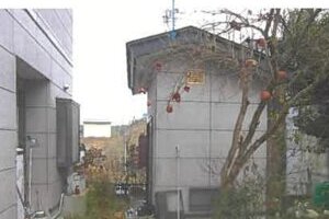 R06ケ146