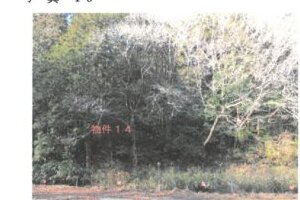 R06ケ142