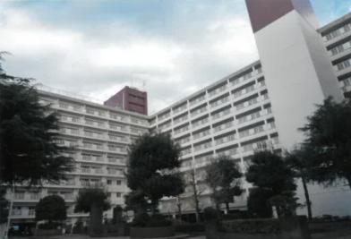R06ヌ29