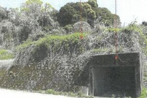 R06ケ7