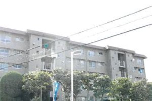 R06ヌ36