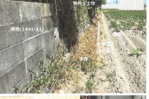 R06ヌ12