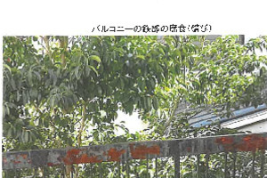 R07ケ2