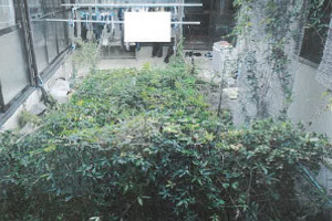 R07ヌ20008