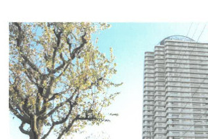 R07ケ275