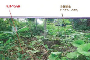 R06ケ80
