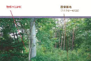 R06ケ80