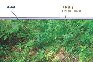 R06ケ80