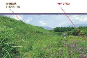 R06ケ41