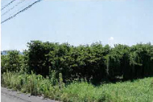 R07ケ10