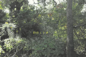 R06ケ6