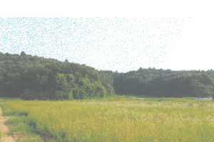 R07ケ103