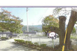R07ヌ36