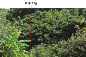R07ヌ10