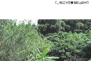 R07ヌ10