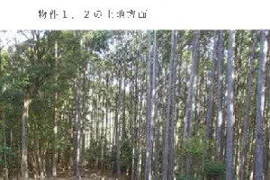 R07ヌ34