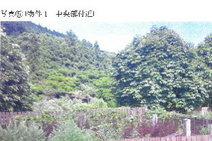 R07ケ22