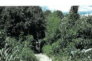 R05ヌ134