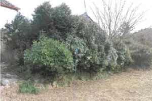 R07ヌ27