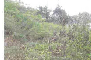 R07ヌ28
