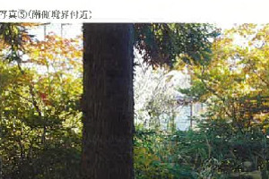R07ケ5