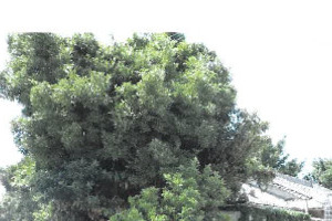 R07ケ16