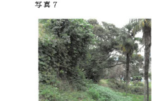 R07ヌ20