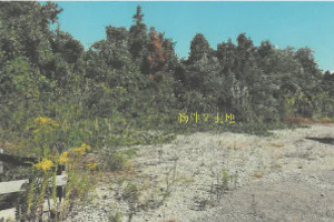 R06ケ13