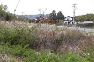 R08ケ10005