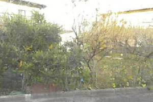 R08ヌ10002
