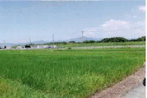 R07ケ10