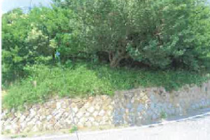 R08ケ8