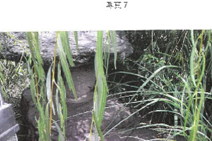 R07ケ54