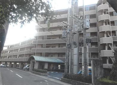 R06ヌ50